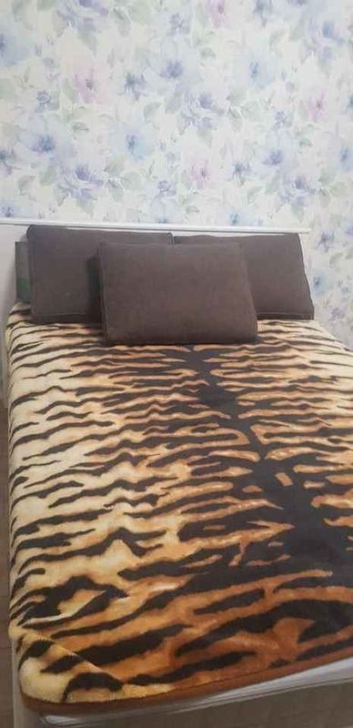       ,   .