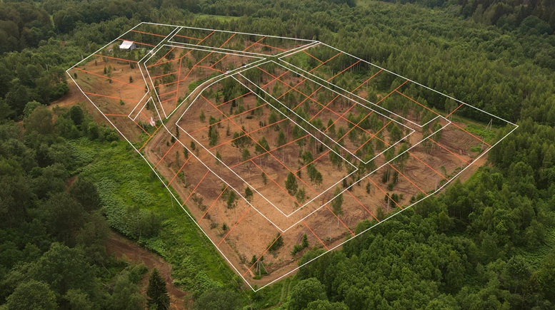 Прилесные участки с деревьями в новом КП Радование-Парк