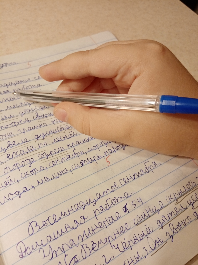 Чистописание. Исправление почерка. Обучающий курс для школьников.