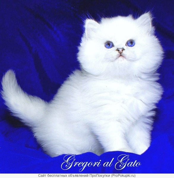 ���������� ����������� �������� ������� ������