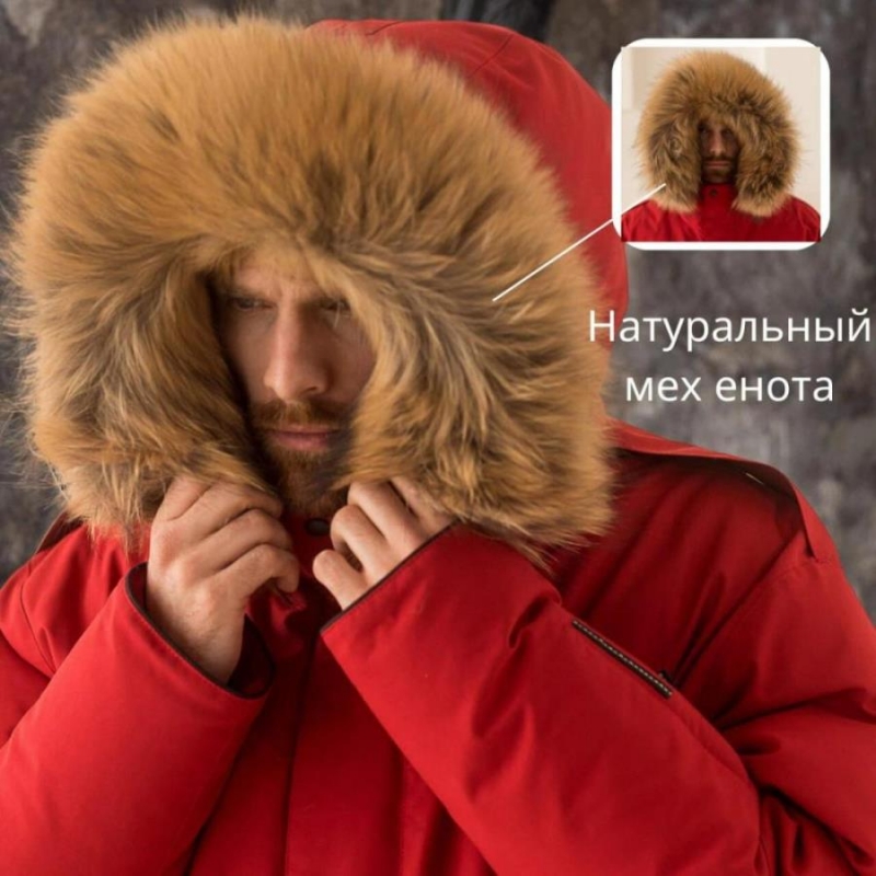 Mexo o    pooe LDY F