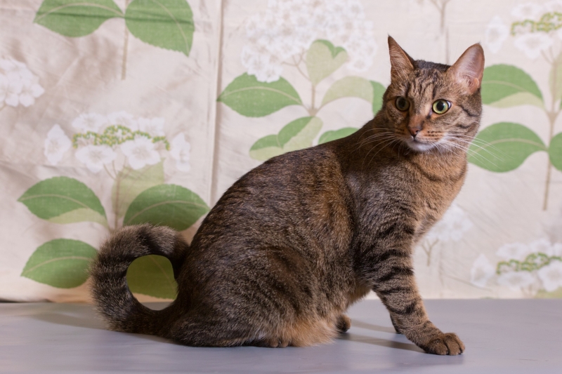 ����� ������� � ������� ��������� � ���