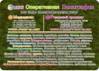 Полиграфия. Переплетные работы в Москве. (495) 505