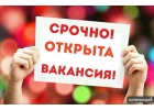 Помощник руководителя