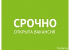 Открыта вакансия администратора